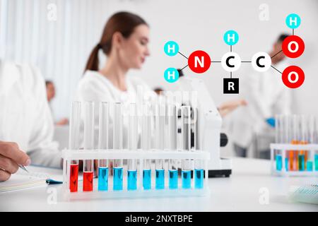 Chemische Aminosäuren-Formel, Illustration. Rack mit Reagenzgläsern auf weißem Tisch und Wissenschaftlern im Labor Stockfoto