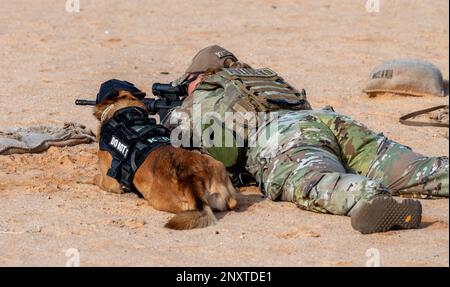 USA Air Force Staff Sergeant Jordan Courtney, 378. Expeditionary Security Forces Squadron K9 Handler, trainiert Mirco, ihren militärisch arbeitenden Hund, auf einem Schießstand auf dem Prince Sultan Air Base, Königreich Saudi-Arabien, 21. Januar 2023. K9 die Verteidiger und ihre Betreuer müssen gemeinsam im Umgang mit Feuerwaffen trainieren, um in stressigen realen Situationen eine sichere Interoperabilität zu gewährleisten. Stockfoto