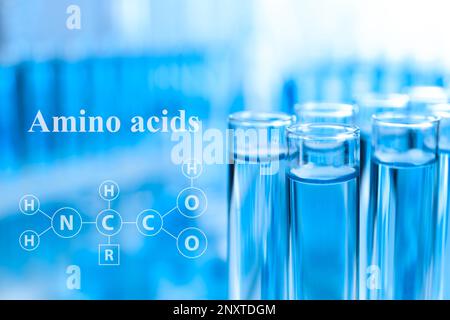 Chemische Aminosäuren-Formel, Illustration. Reagenzgläser mit flüssigen Proben zur Analyse im Labor, Nahaufnahme Stockfoto