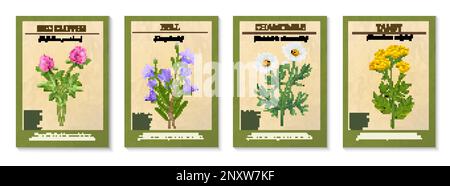 Poster mit realistischen Wildblumen-Bouquen, Darstellung isolierter Vektoren Stock Vektor