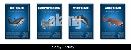 Realistisches Hai-Poster-Set mit verschiedenen Arten gefährlicher Fische, isolierte Vektordarstellung Stock Vektor