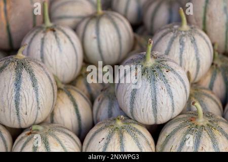 Vollformat Nahaufnahme eines Stapels Charentais Melonen auf einem Marktstand. Stockfoto