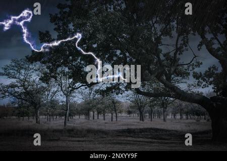 Dunkler, wolkiger Himmel mit blitzartigen Bäumen. Gewitter Stockfoto