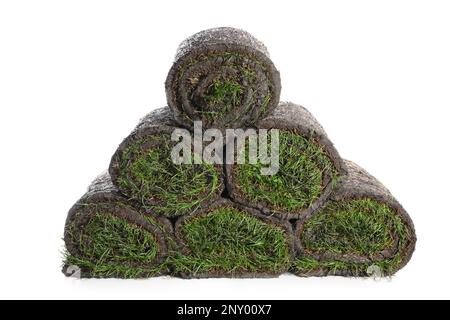 Rollen Gras auf weißem Hintergrund Stockfoto