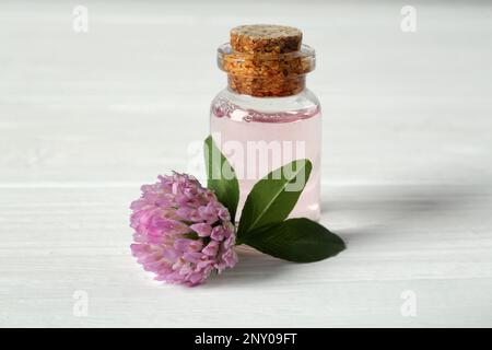 Wunderschöne Kleeblümchen und ätherisches Öl auf weißem Holztisch Stockfoto