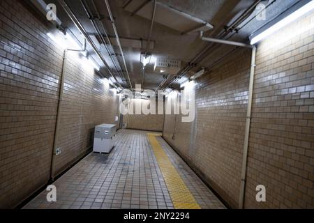 Tokio, Japan. 8. Februar 2023. Eine U-Bahn-Passage in Tokio im Großen Transit-U-Bahn-Netz. Die Kishida-Administration wird angesichts der wirtschaftlichen Probleme Japans mit sinkenden Geburtenraten neue Einwanderungs- und Bevölkerungspolitiken enthüllen. (Kreditbild: © Taidgh Barron/ZUMA Press Wire) NUR REDAKTIONELLE VERWENDUNG! Nicht für den kommerziellen GEBRAUCH! Stockfoto