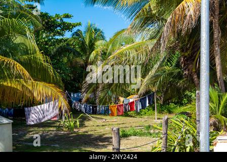 Mahahual, Quintana Roo, Mexiko, Wäscherei, die an einem Seil in der Natur hängt Stockfoto