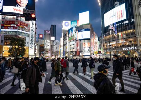 Tokio, Japan. 8. Februar 2023. Fußgänger, Pendler, Geschäftsleute, Touristen und Besucher gleichermaßen überqueren die Kreuzung Shibuya Scramble.Shibuya Scramble (æ¸¤å·°·Ã‚¹ã‚¯ãƒ © ãƒ³ãƒ-ãƒ«ä°‚¹) ist eine berühmte Kreuzung in Shibuya, Tokio, bekannt für seine geschäftige Fußgängerüberquerung. Es ist umgeben von Einkaufszentren, Restaurants und Nachtleben und ist ein beliebter Treffpunkt für Einheimische und Touristen gleichermaßen. Der Bahnhof Shibuya wird von JR East, Tokyo Metro und Tokyu Linien angefahren. Japanische Wirtschaft, Tokio Stadtentwicklung, Immobilienreisen. (Kreditbild: © Taidgh Barron/ZUMA Press Wire) EDITORIAL USAG Stockfoto