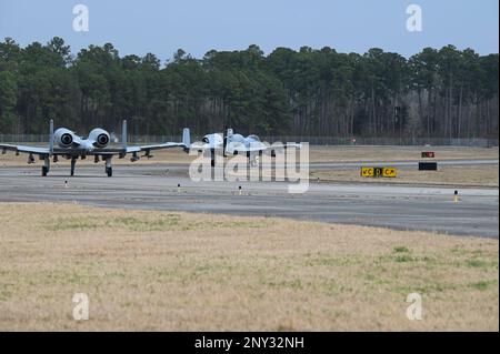 Zwei A10-C Thunderbolt II-Flugzeuge vom 175. Flügel, Maryland Air National Guard, bereiten Sie sich auf den Start am Hunter Army Airfield, Georgia, am 25. Januar 2023 während der Übung Sunshine Rescue vor. Ziel der Übung Sunshine Rescue 2023 ist es, herkömmliche CSAR-Funktionen (Combat Search and Rescue) mit Bodentaktiken, -Techniken und -Verfahren nach vorn auszuführen und dabei fortschrittliche Befehls- und Steuerungstechnologien zu nutzen. Stockfoto