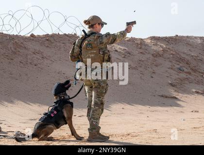 USA Air Force Staff Sergeant Leirin Simmons, 378. Expeditionary Security Forces Squadron K9 Handler, trainiert Ffreddie, ihren militärisch arbeitenden Hund, auf einem Schießstand auf dem Prince Sultan Air Base, Königreich Saudi-Arabien, 21. Januar 2023. K9 die Verteidiger und ihre Betreuer müssen gemeinsam im Umgang mit Feuerwaffen trainieren, um in stressigen realen Situationen eine sichere Interoperabilität zu gewährleisten. Stockfoto