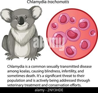 Chlamydia trachomatis mit erläuternder Darstellung Stock Vektor