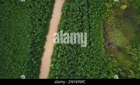 Blick von oben auf den schmutzigen Fluss im Wald. Clip. Schmutzige schlammige Flüsse fließen ruhig in grünen Wald. Brauner Fluss im Waldgebiet am sonnigen Sommertag. Stockfoto