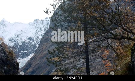Blick auf die hohen weißen Bergketten. Kreativ. Machen Sie einen Spaziergang durch das düstere kalte Wetter hoch in den Bergen mit einer Reihe von wachsenden Bäumen. Hohe Qu Stockfoto