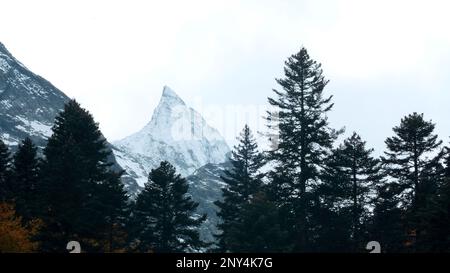 Blick auf die hohen weißen Bergketten. Kreativ. Machen Sie einen Spaziergang durch das düstere kalte Wetter hoch in den Bergen mit einer Reihe von wachsenden Bäumen. Hohe Qu Stockfoto
