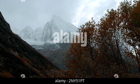 Blick auf die hohen weißen Bergketten. Kreativ. Machen Sie einen Spaziergang durch das düstere kalte Wetter hoch in den Bergen mit einer Reihe von wachsenden Bäumen. Hohe Qu Stockfoto