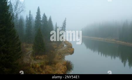 Blick aus einer Höhe der Waldlandschaft. Clip. Wunderschöne Wildnis in einem grünen Wald neben einem Teich. Hochwertige FullHD-Aufnahmen Stockfoto