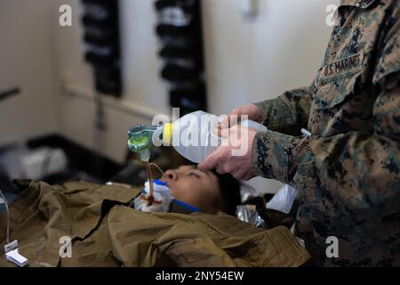 EIN US-AMERIKANISCHER Marine mit 3D. Bataillon, 4. Marines simulierten medizinische Versorgung während einer Massenübung für Verletzte im Rahmen von Fuji Viper 23,2 im Combined Arms Training Center, Camp Fuji, Japan, 30. Januar 2023. Fuji Viper bietet US-Dollar Marines, die in Japan operieren, mit realistischen Schulungsmöglichkeiten, um kombinierte Waffen auszuüben und Fähigkeiten, Letalität und Bereitschaft aufrechtzuerhalten. 3/4 wird im Indo-Pazifik unter 4. Marines, 3D. Division im Rahmen des Unit Deployment Program eingesetzt. Stockfoto