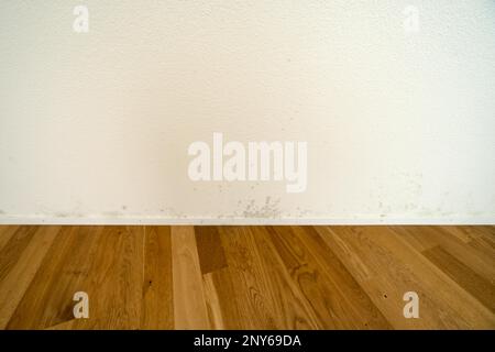 Wand mit Schimmel, leere Fläche Stockfoto