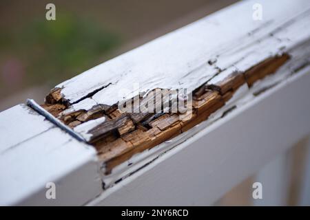 Verrottende Handläufe auf einer Terrasse, die repariert werden muss. Stockfoto