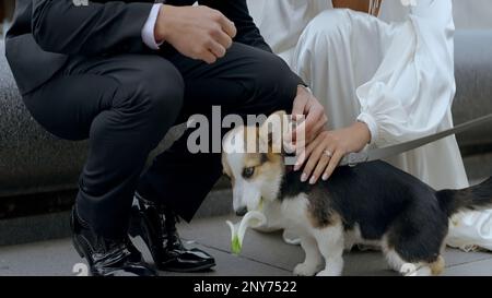 Porträt einer Frau im weißen Kleid und eines Mannes im Anzug, der einen Welpen besetzt und streichelt. Aktion. Süßer Hund in der Nähe einer Frau und ein Mann im Anzug Stockfoto