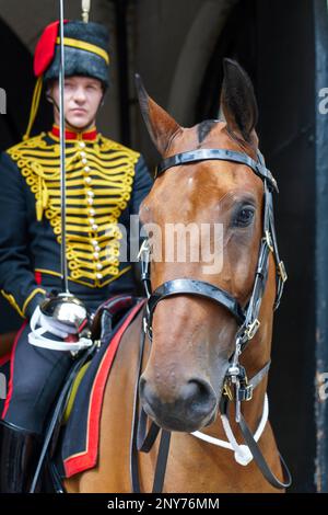 LONDON - 30 Juli: Kings Troop Royal Horse Artillery in Whitehall London am 30. Juli 2017. Unbekannter Mann Stockfoto