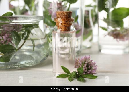 Wunderschöne Kleeblümchen und eine Flasche ätherisches Öl auf einem weißen Holztisch Stockfoto