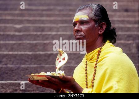 Ein Sadhu, der mit Naga Idol, dem Arulmigu Dhandayuthapani Swamy Temple in Palani in der Nähe von Coimbatore, Tamil Nadu, Indien, auf der Treppe sitzt Stockfoto