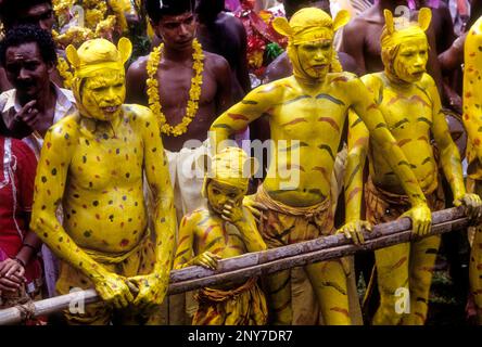 Puli Kali Tiger Dancers in Atham Festival bei Thrippunithura Tripunithuranear Ernakulam, Kerala, Südindien, Indien, Asien Stockfoto