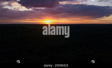 Panoramablick aus der Vogelperspektive auf den Bauernhof bei Sonnenuntergang. Clip. Die Drohne fliegt über landwirtschaftliches Grünfeld Stockfoto