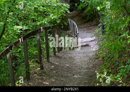 Langer Pfad mit Schottertreppen und Holzgeländer für Touristen in sonnigen Sommerwäldern. Leerer Wanderweg im Naturschutzgebiet Stockfoto