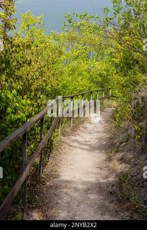 Langer Pfad mit Schottertreppen und Holzgeländer für Touristen in sonnigen Sommerwäldern. Leerer Wanderweg im Naturschutzgebiet Stockfoto