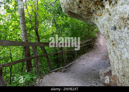 Langer Pfad mit Schottertreppen und Holzgeländer für Touristen in sonnigen Sommerwäldern. Leerer Wanderweg im Naturschutzgebiet Stockfoto