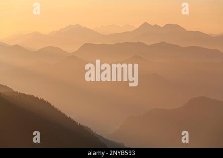 Blick von Jochberg auf Bayerische Alpen, Alpen, Deutschland, Europa Stockfoto