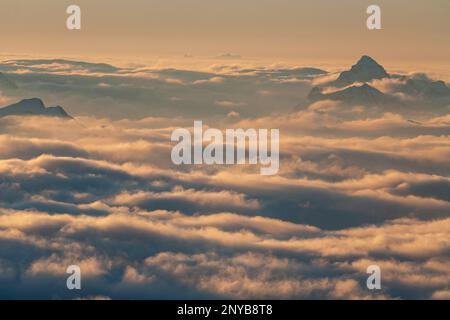 Blick von der Zugspitze auf die Allgäuer Alpen, Garmisch Partenkirchen, Oberbayern, Bayern, Deutschland, Europa Stockfoto