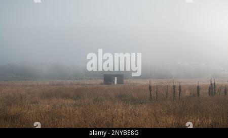 Die Wanderroute zwischen Viana do Castelo und Carreco. Ein nebeliger Morgen während des Camino de Santiago, der portugiesischen Küstenstraße. Stockfoto