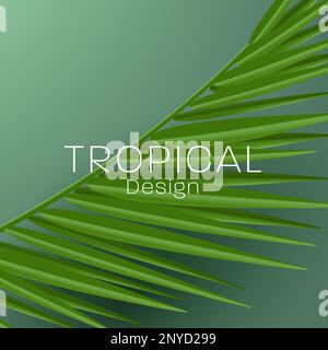Tropische Palmenblätter detailliertes Rendering, realistische Vektorform, Sommerzeit Stock Vektor