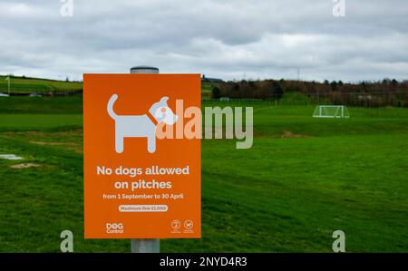 Orangefarbenes Warnschild, dass Hunde nicht auf Sportplätzen zugelassen sind Stockfoto