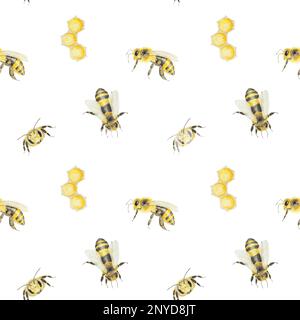 Aquarell handgezeichnetes Muster von Bienen und Honig, isoliert auf weißem Hintergrund Stockfoto