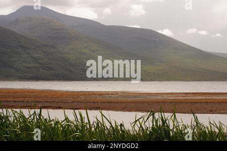 Mit Blick über Loch Na Keal nach Ben More und umliegenden Hügeln mit Schilf und Schindeln im Vordergrund, Mull, Schottland. UK Stockfoto