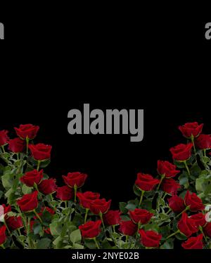 Beerdigungseinladung mit roten Rosen. Kann auch als Banner verwendet werden Stockfoto