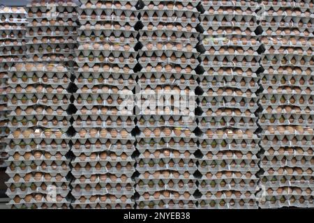 Karton mit braunen Eiern im Supermarkt Stockfoto