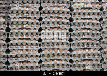Karton mit braunen Eiern im Supermarkt Stockfoto