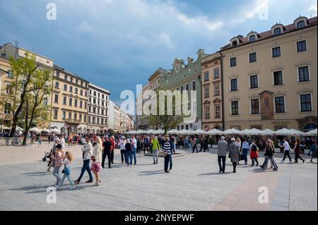 Blick auf Rynek Glowny, den Hauptmarktplatz mit historischen Gebäuden, Denkmälern, Tuchhalle, Basilika und Geschäften in Krakau, Polen. Stockfoto