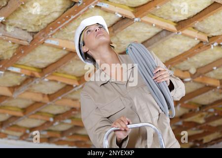 Schöne junge Frau, die auf einer Leiter gebaut hat Stockfoto