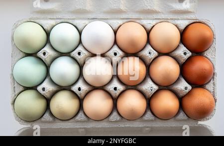 Viele verschiedene Farben Hühnereier, die nach Farbe auf einer Eischachtel aus Papier angeordnet sind. Alle möglichen Farben: Blau, grün, weiß, beige, braun. Stockfoto