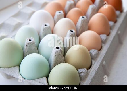 Viele verschiedene Farben Hühnereier, die nach Farbe auf einer Eischachtel aus Papier angeordnet sind. Alle möglichen Farben: Blau, grün, weiß, beige, braun. Stockfoto