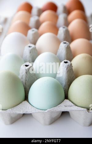 Viele verschiedene Farben Hühnereier, die nach Farbe auf einer Eischachtel aus Papier angeordnet sind. Alle möglichen Farben: Blau, grün, weiß, beige, braun. Stockfoto