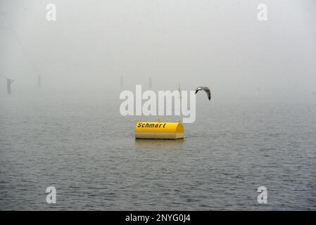 Rostock, Deutschland. 02. März 2023. Eine Möwe fliegt im Nebel über einer Boje im Hafen von Rostock vor dem Dock der Zerstörerin USS Porter. Der Zerstörer der Klasse Arleigh Burke USS Porter (DDG 78) wird einen Hafenbesuch abstatten, um die engen Beziehungen zwischen den USA und Deutschland auszubauen. Kredit: Frank Hormann/dpa/Alamy Live News Stockfoto