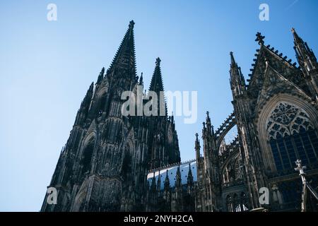 Eine Nahaufnahme des Kölner Doms von unten unter blauem Himmel. Das Gebäude ist eine antike Kirche und das Wahrzeichen der Stadt am Rhein. Stockfoto