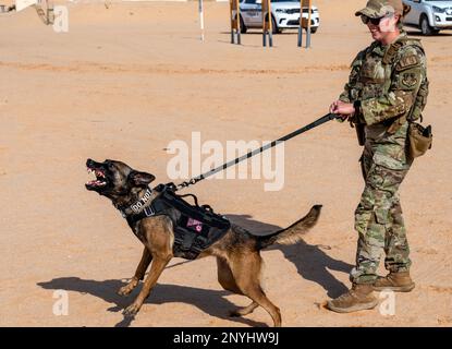 USA Leirin Simmons, Stabschef der Luftwaffe Leirin Simmons, eine K9-Betreuerin der 378. Einheit der Sicherheitskräfte der Expedition, trainiert ihren K9. Ffreddie, einen militärisch arbeitenden Hund, auf einem Schießstand auf dem Luftwaffenstützpunkt Prince Sultan, Königreich Saudi-Arabien, 21. Januar 2023. K9 die Verteidiger und ihre Betreuer müssen gemeinsam im Umgang mit Feuerwaffen trainieren, um in stressigen realen Situationen eine sichere Interoperabilität zu gewährleisten. Stockfoto